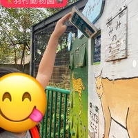 画像1096