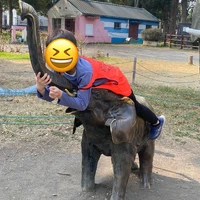 画像1099