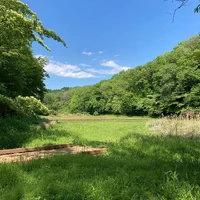 画像1133