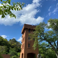 画像1139
