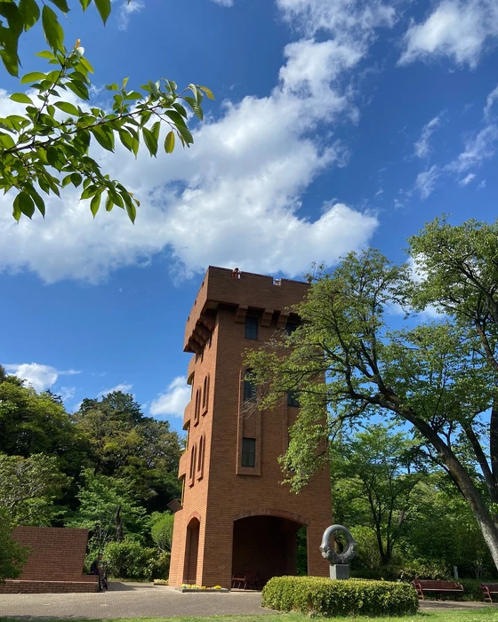 画像1139