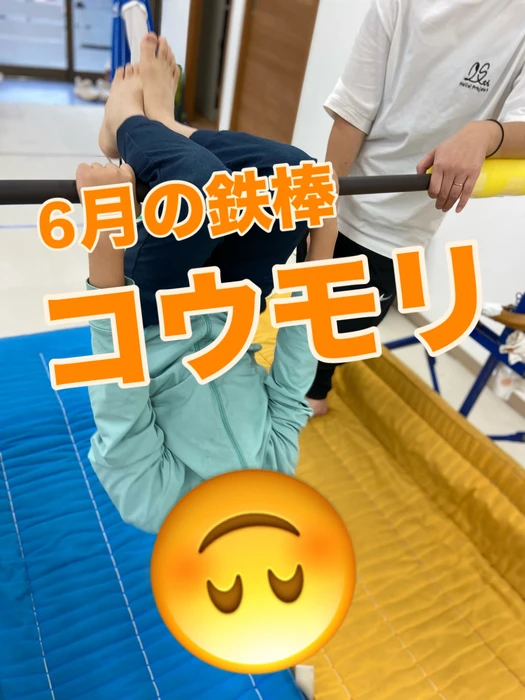 画像1245