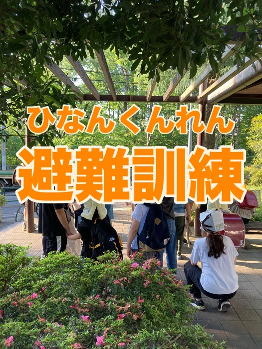 画像1251