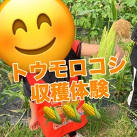 画像1399