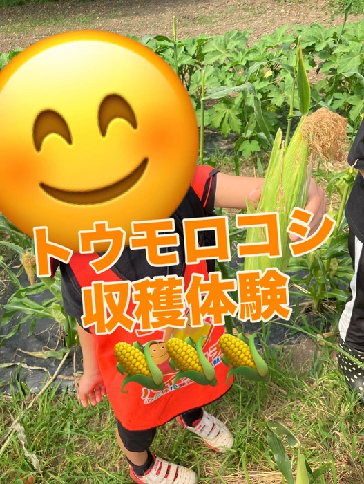 画像1399
