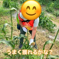 画像1400