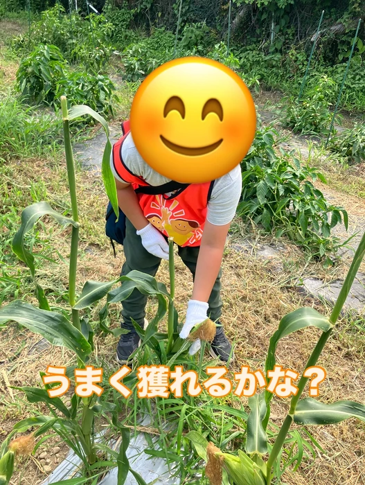 画像1400