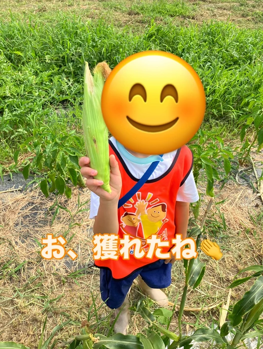 画像1401