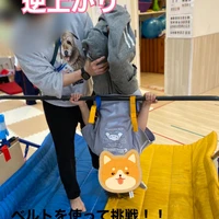 画像2353