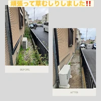 画像2412