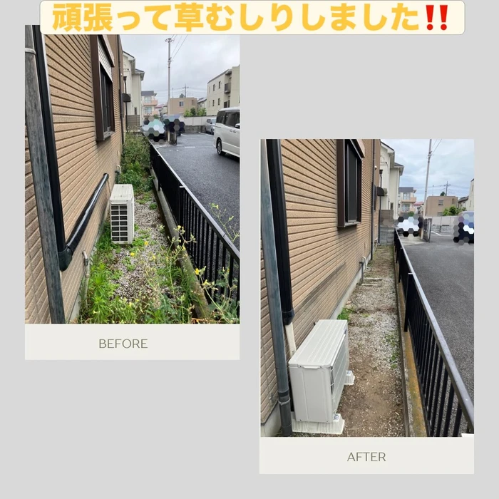 画像2412