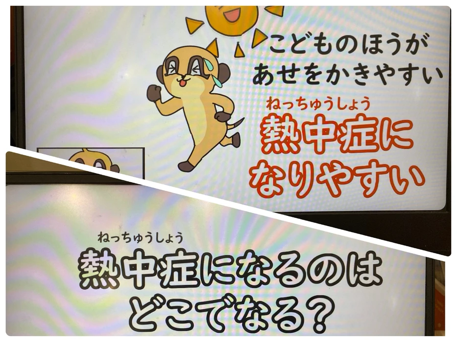 画像2449