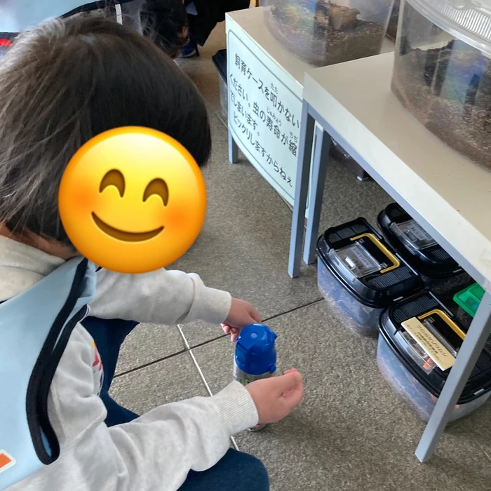 画像812