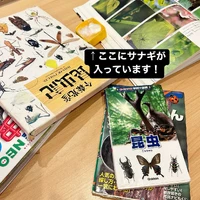 画像887