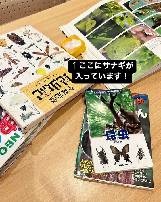 画像887