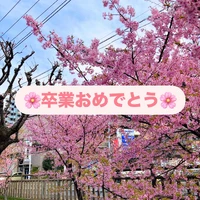 画像909