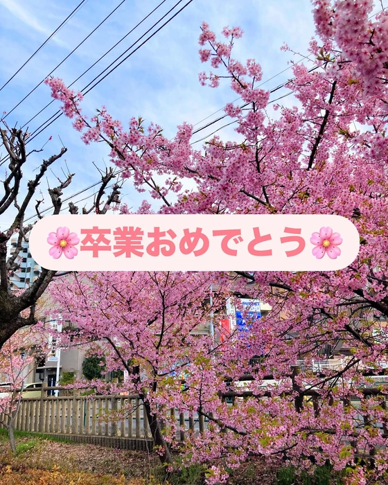 画像909